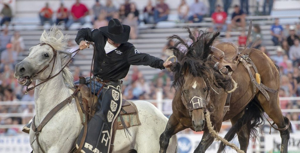 Rodeo Montubio Ecuador Ama la Vida TV